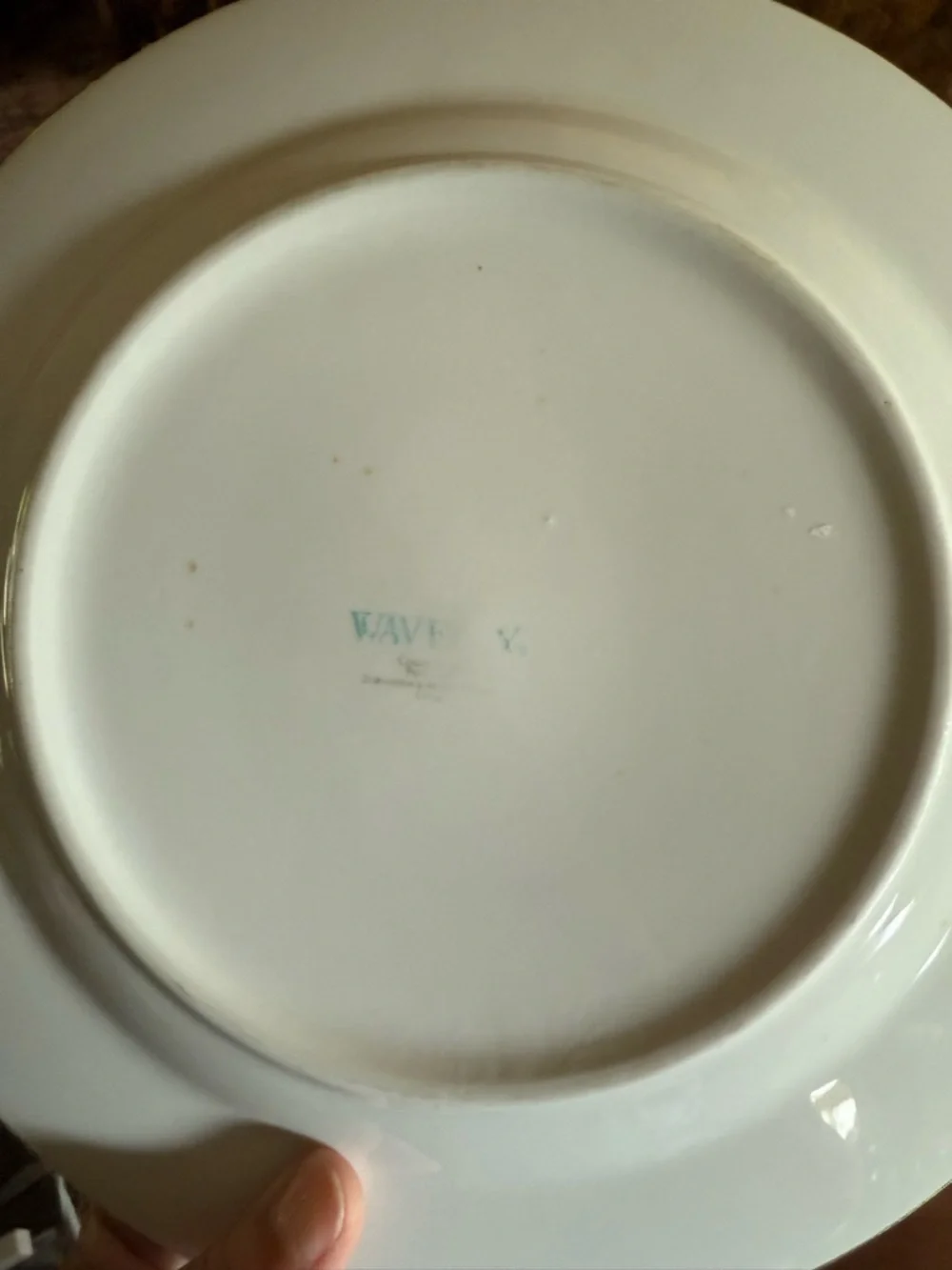 Waverly Country Life Blue Toile 10 Porcelain Dinner Plate